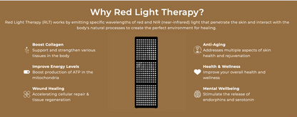 CELLER8 Half Body Red Light Panel - NaturalSleep.shop